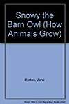 Snowy the Barn Owl