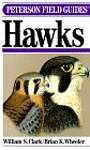 A Field Guide to Hawks: North America