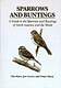 Sparrows and Buntings: A Guide to the Sparrows and Buntings of North America and the World