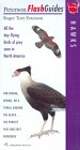 Hawks: All the day-flying birds of prey seen in North America