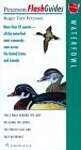 Waterfowl: More than 50 species - all the waterfowl most commonly seen across the United States and Canada