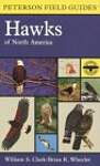 Field Guide to Hawks: North America