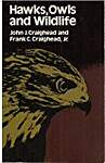 Hawks, Owls, and Wildlife