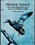 Prairie Wings