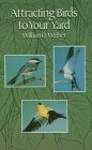 Attracting Birds to Your Yard