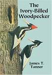 The Ivory-Billed Woodpecker