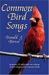 Common Bird Songs