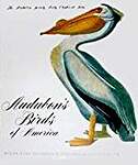 Audubon's Birds of America
