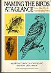 Naming the Birds at a Glance