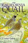 The California Quail (Paper)