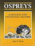 Ospreys: A Natural and Unnatural History