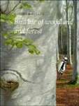 Bird Life of Woodland and Forest