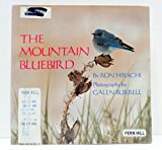 The Mountain Bluebird