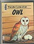 The Life Cycle of an Owl
