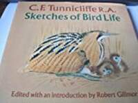 Sketches of Bird Life