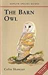 Barn Owl