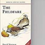 The Fieldfare