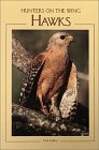 Hawks: Hunters on the Wing