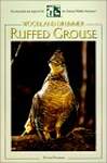 Ruffed Grouse: Woodland Drummer