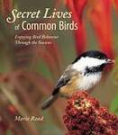 Secret Lives of Common Birds: Enjoying Bird Behavior Through the Seasons