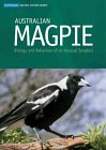 Australian Magpie: Biology and Behaviour of an Unusual Songbird