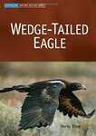 Wedge-Tailed Eagle