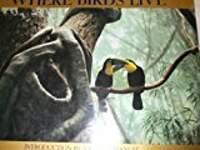 Where Birds Live
