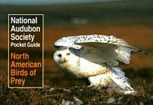 National Audubon Society Pocket Guide to North American Birds of Prey