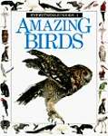 Amazing Birds