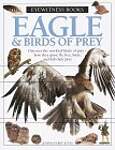 Eagle: And Birds of Prey