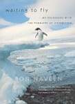 Waiting to Fly: My Escapades With the Penguins of Antarctica