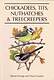Chickadees, Tits, Nuthatches  Treecreepers