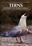 Terns of Europe and North America