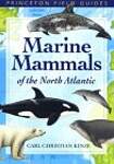 Marine Mammals of the North Atlantic