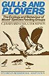 Gulls and Plovers (Studies in Behavioural Adaptation)