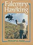 Falconry and Hawking