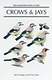 Crows and Jays: A Guide to the Crows, Jays and Magpies of the World