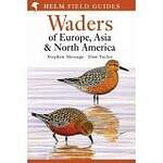 Waders of Europe, Asia and North America