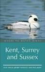 Where to Watch Birds in Kent, Surrey and Sussex