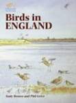 Birds in England