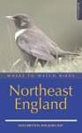 Where to Watch Birds in Northeast England