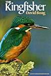 The Kingfisher