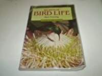Secrets of Bird Life: A Guide to Bird Biology
