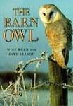 The Barn Owl