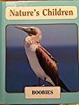 Boobies