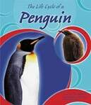 The Life Cycle of a Penguin