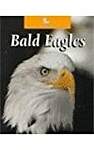 Bald Eagles