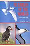 Seabirds of the World: A Photographic Guide