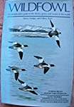 Wildfowl: An Identification to the Ducks, Geese and Swans of the World