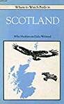 Where to Watch Birds in Scotland